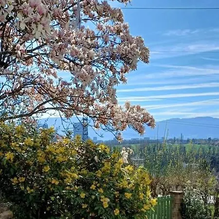 Appartement Magnolia
